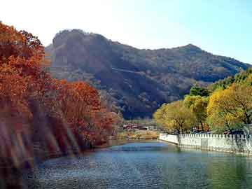 澳門一碼一碼100準(zhǔn)確，澳門一碼精準(zhǔn)預(yù)測(cè)
