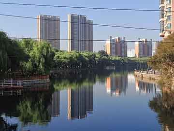 澳門一碼一碼100準(zhǔn)確，澳門一碼精準(zhǔn)預(yù)測