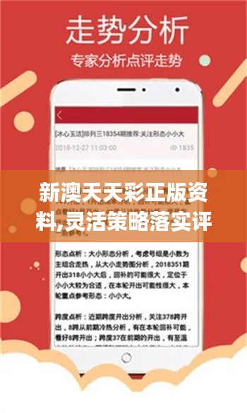 新澳天天彩正版免費資料解析，新澳天天彩正版免費資料深度解析