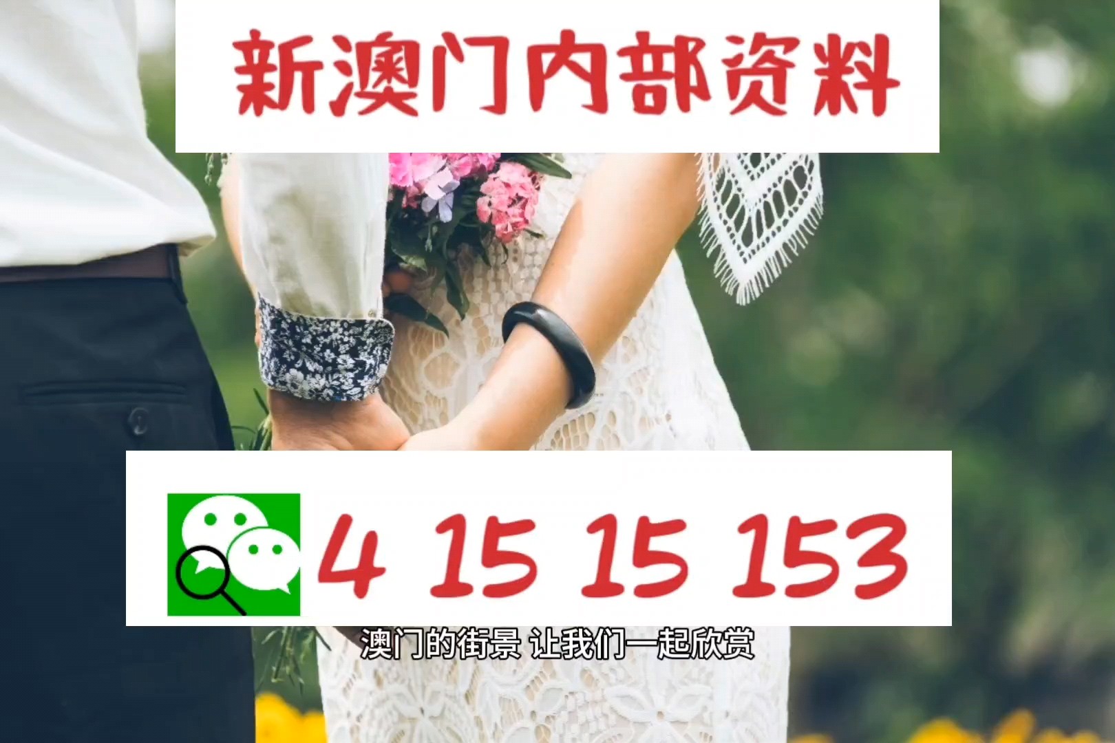 新澳新澳門正版資料，新澳新澳門正版資料概覽