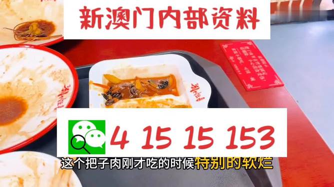 澳門(mén)王中王六碼新澳門(mén)，揭秘彩票背后的故事，澳門(mén)王中王六碼揭秘，彩票背后的故事探索