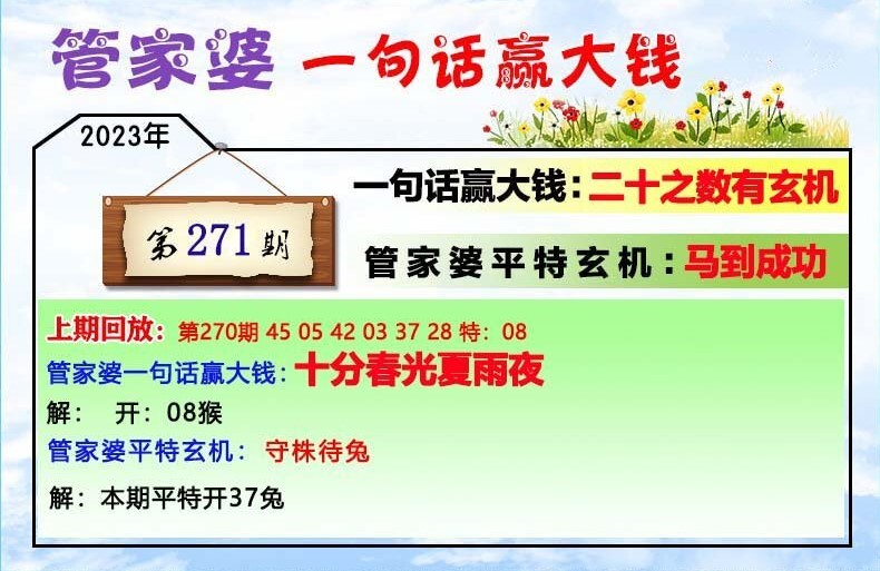 揭秘202管家婆一肖一碼，揭秘背后的秘密，揭秘202管家婆一肖一碼真相，揭開神秘面紗背后的秘密