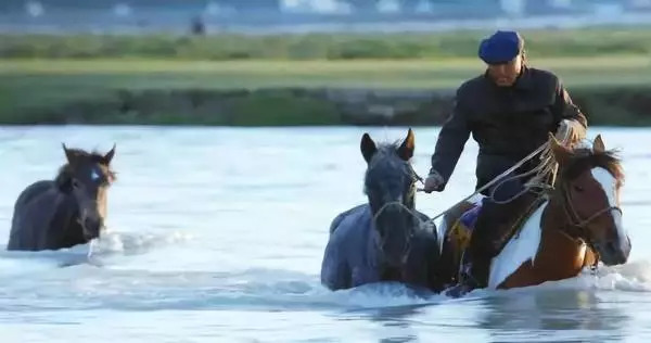 今晚澳門特馬開什么今晚四不像，澳門特馬今晚開獎結(jié)果及四不像分析
