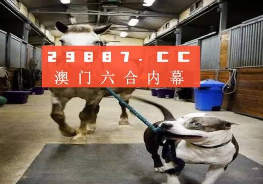 澳門一肖一碼一必中，同舟共濟勇前進，澳門一肖一碼精準預(yù)測，同舟共濟勇攀高峰