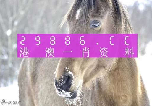 澳門(mén)一肖一碼，揭秘背后的秘密與真相，澳門(mén)一肖一碼揭秘背后的秘密真相大揭秘