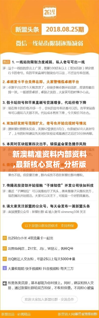 新澳精準(zhǔn)資料免費提供，探索第221期的奧秘與價值，新澳精準(zhǔn)資料揭秘第221期奧秘與價值