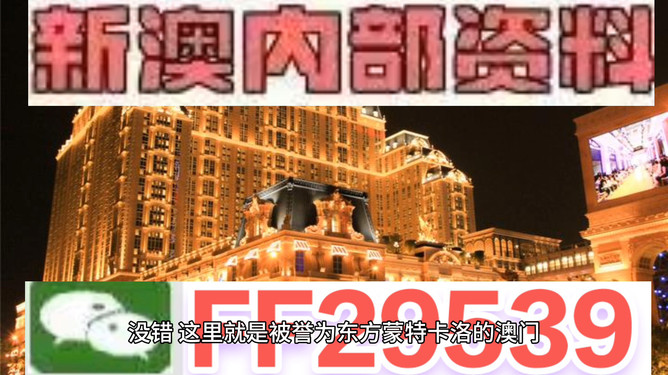 探索未來，2025年澳門特馬之夜，探索未來，澳門特馬之夜 2025展望