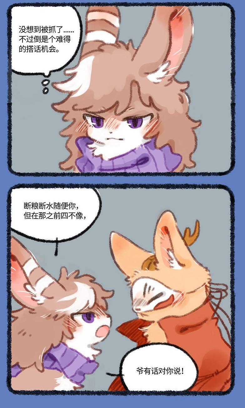 四不像的神秘面紗，今晚必中一肖揭秘，四不像神秘面紗揭曉，今晚生肖揭秘一探究竟