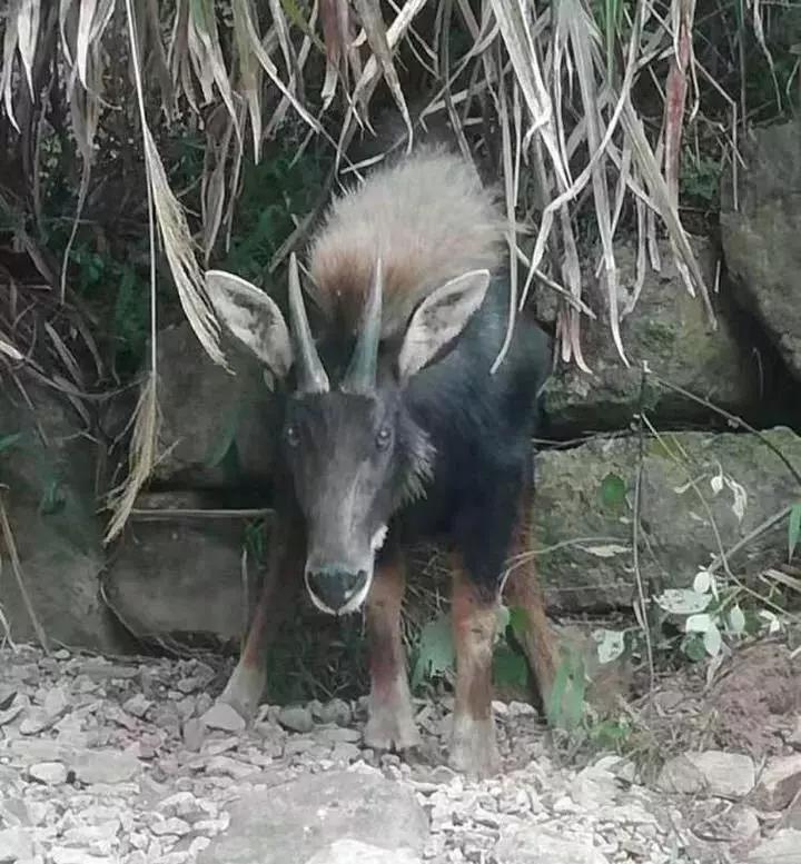揭曉 第5頁(yè)