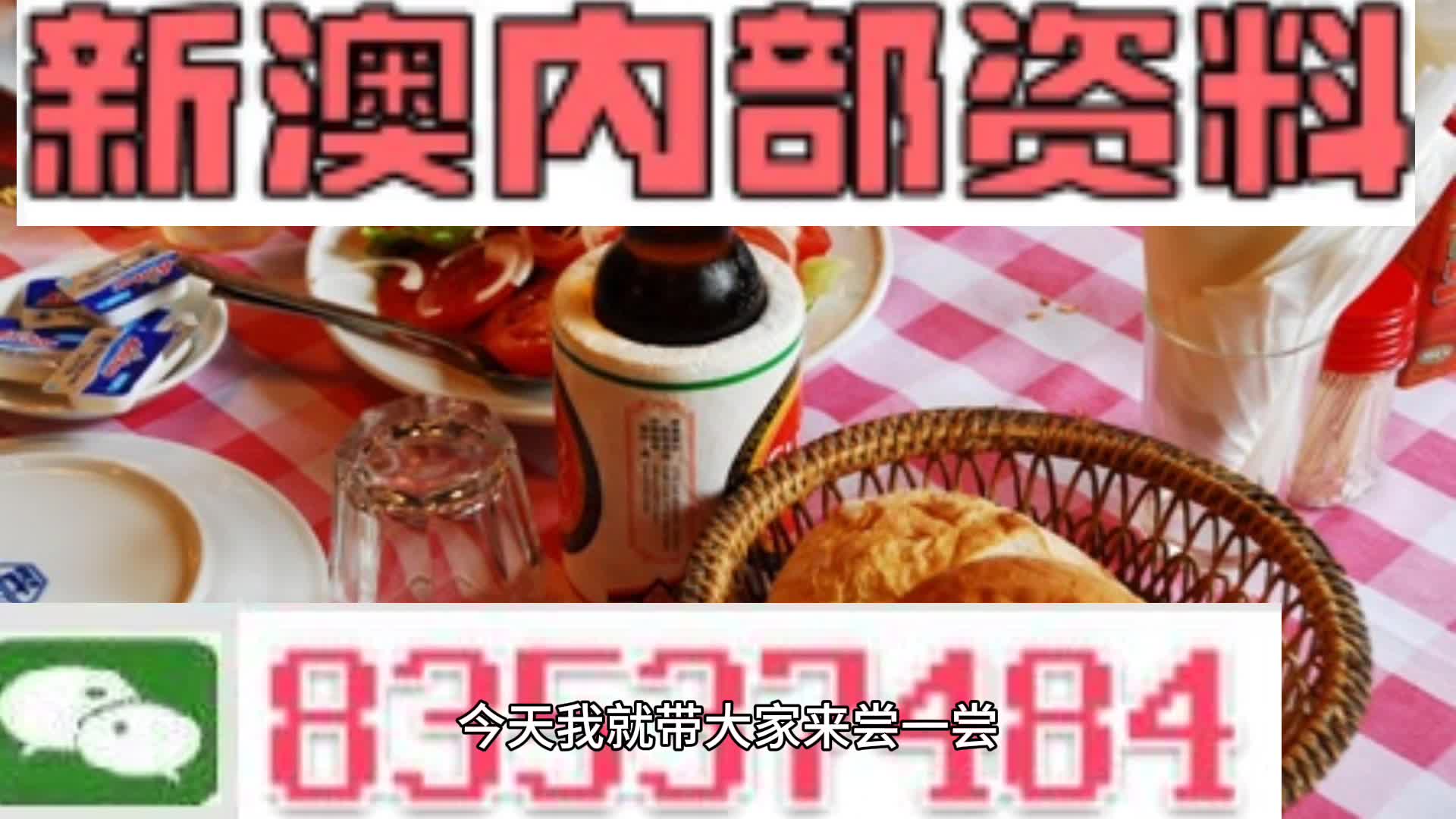 2025新澳精準(zhǔn)資料大全，2025新澳精準(zhǔn)資料大全手冊(cè)