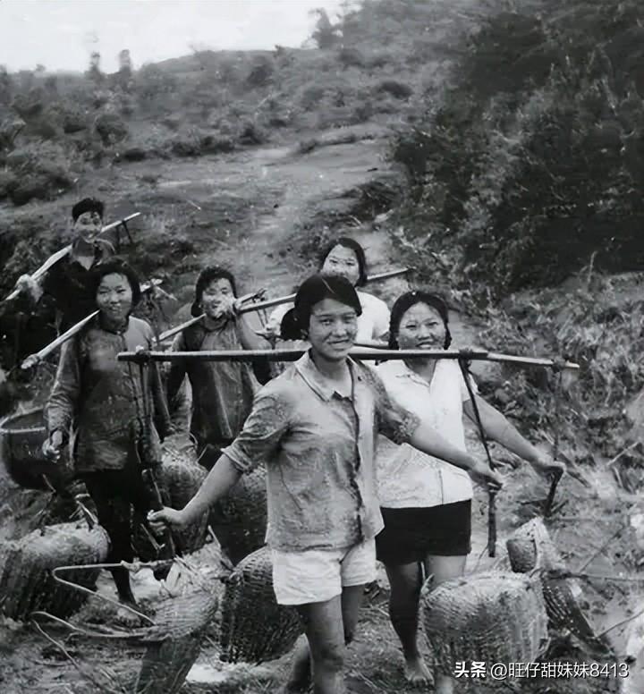 免費(fèi)下載49圖庫(kù)，海量美圖資源一網(wǎng)打盡，海量美圖資源免費(fèi)下載，49圖庫(kù)一網(wǎng)打盡