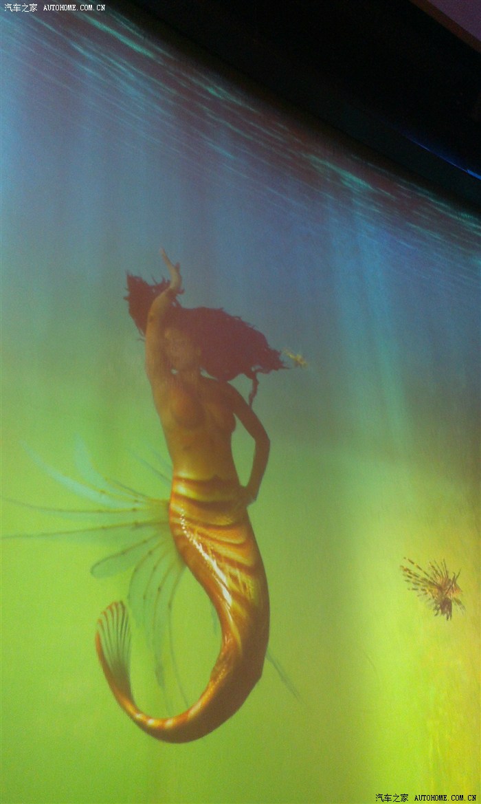 澳門美人魚，澳門美人魚表演，魅力海洋的夢幻之旅