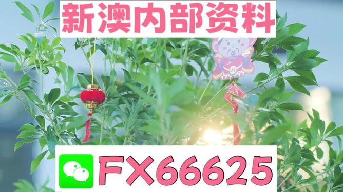 新澳精準(zhǔn)資料免費提供網(wǎng)站，新澳精準(zhǔn)資料免費分享平臺