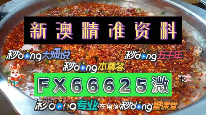 澳門特料，澳門特料揭秘