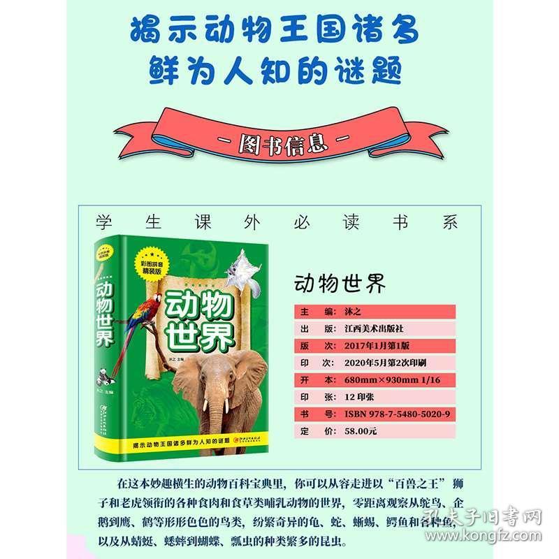 澳門正版資料大全資料生肖卡，澳門正版資料大全，生肖卡全收錄