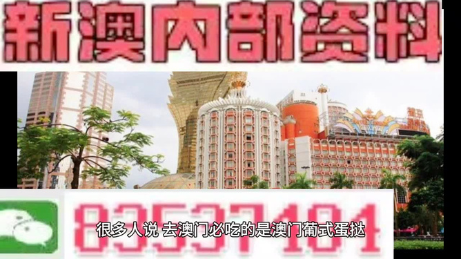 澳門免費精準資料全解析，澳門免費精準資料全方位解讀