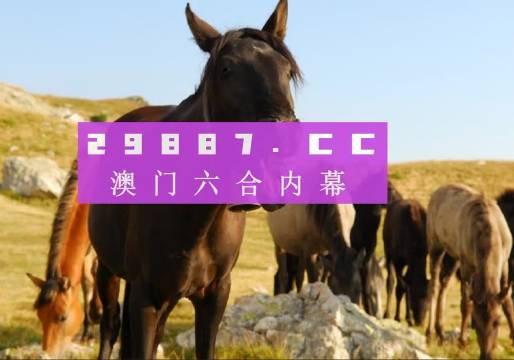 澳門49圖庫大全資料使用方法，澳門49圖庫大全資料使用指南