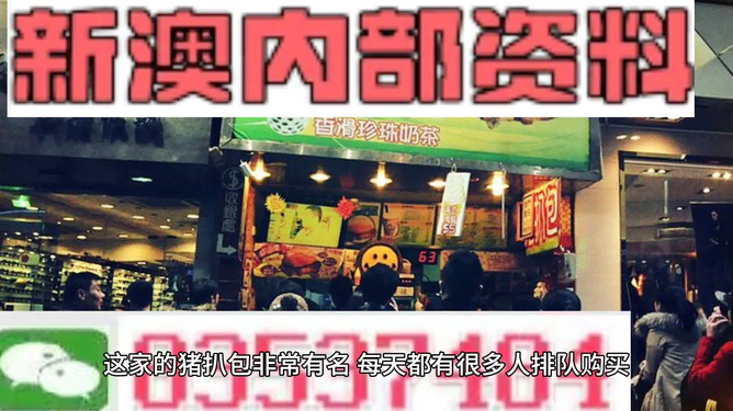 2025新澳精準(zhǔn)資料大全，2025新澳精準(zhǔn)資料大全手冊(cè)