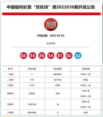 揭秘2025新奧開獎(jiǎng)記錄第39期，數(shù)據(jù)背后的故事，揭秘第39期新奧開獎(jiǎng)記錄，數(shù)據(jù)背后的故事與真相