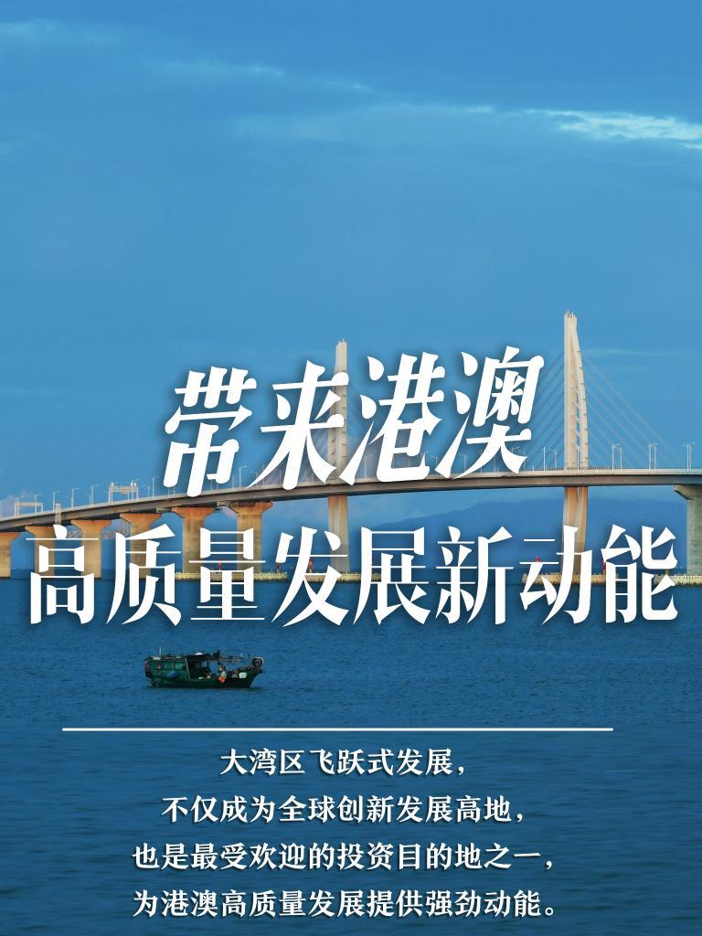 揭秘2025新澳門精準(zhǔn)免費(fèi)大全，揭秘2025新澳門精準(zhǔn)免費(fèi)大全資料全解析