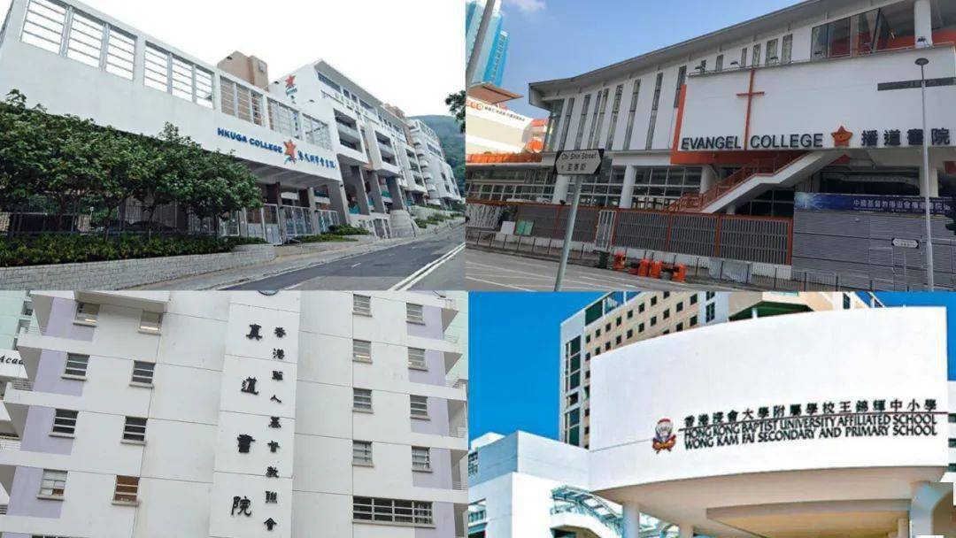香港免費(fèi)公開資料大全，香港免費(fèi)公開資料大全概覽
