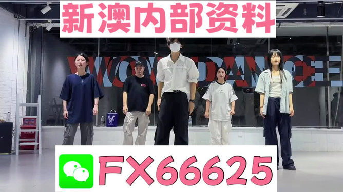 新澳天天開獎資料，新澳天天開獎資料詳解