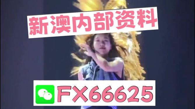 新澳門內(nèi)部一碼精準公開，澳門內(nèi)部一碼精準公開揭秘