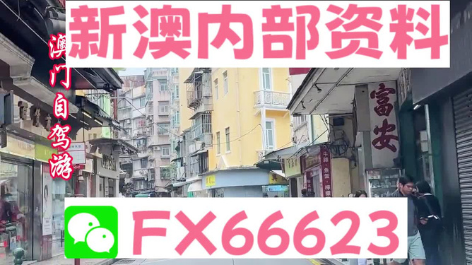 新澳精準(zhǔn)資料免費(fèi)提供，探索第208期的奧秘，新澳第208期精準(zhǔn)資料揭秘，探索奧秘與免費(fèi)分享