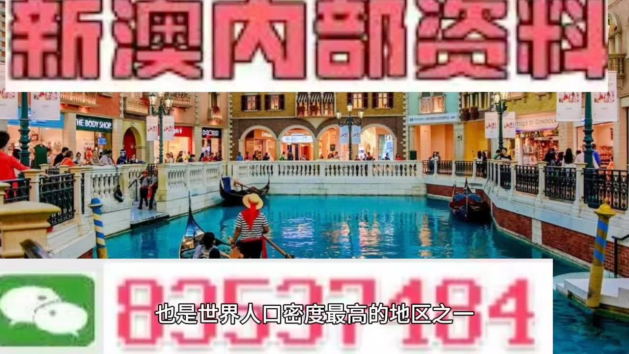 新澳門(mén)天天開(kāi)獎(jiǎng)資料大全，探索第038期開(kāi)獎(jiǎng)的神秘面紗，新澳門(mén)第038期開(kāi)獎(jiǎng)資料大全，揭開(kāi)神秘面紗探索真相