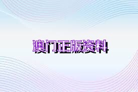探索澳門未來，揭秘2025澳門免費(fèi)資料與正版資料206期，揭秘澳門未來藍(lán)圖，免費(fèi)資料與正版資料206期探索之旅