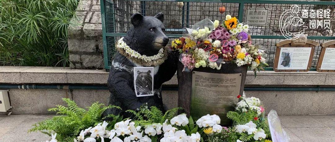 澳門今晚開獎號碼