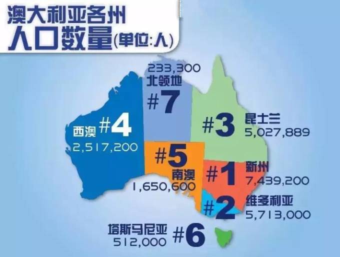 新澳2025年一肖一馬中特，新澳2025年一肖一馬中特預(yù)測(cè)與解析