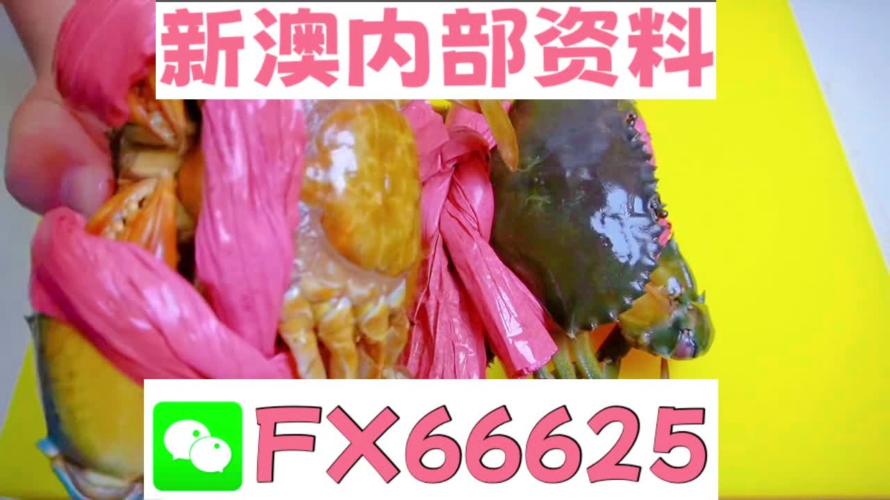 揭秘2025新澳精準(zhǔn)資料大全，深度解析與概述，揭秘2025新澳精準(zhǔn)資料大全，深度解析與全面概述