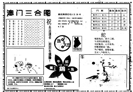 王中王資料大全