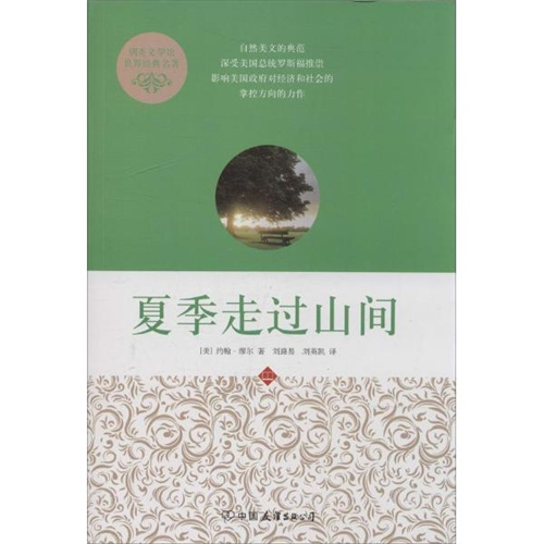 夜色中的貓