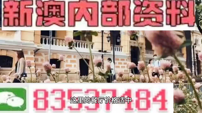 澳門最精準(zhǔn)免費(fèi)資料大全旅游團(tuán)，一站式解鎖澳門之旅，澳門旅游團(tuán)一站式攻略，精準(zhǔn)免費(fèi)資料大全，解鎖澳門之旅