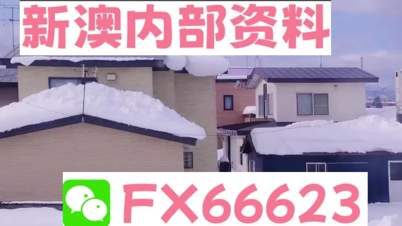 2025新澳精準(zhǔn)資料大全解釋，2025新澳精準(zhǔn)資料大全詳解