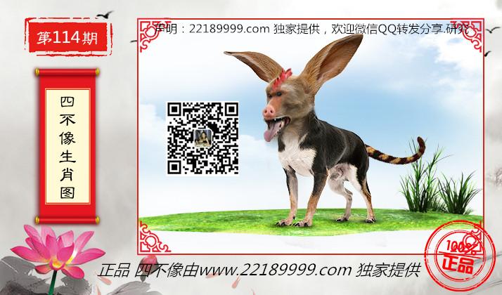 四不像正版資料查看，四不像正版資料詳查