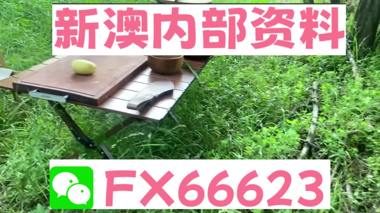 2025新澳精準(zhǔn)資料大全解釋，2025新澳精準(zhǔn)資料大全詳解