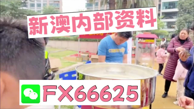 澳門正版免費(fèi)全年資料大全旅游團(tuán)，探索澳門之旅的完美指南，澳門旅游團(tuán)指南，正版免費(fèi)全年資料大全，探索澳門之旅的完美選擇