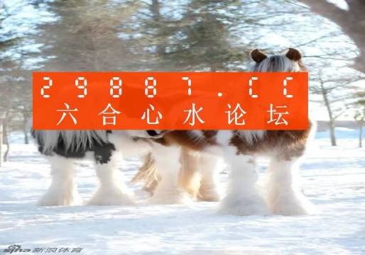 今晚必中一肖一碼四不像，揭秘彩票的神秘面紗，揭秘彩票神秘面紗，今晚必中一肖一碼四不像
