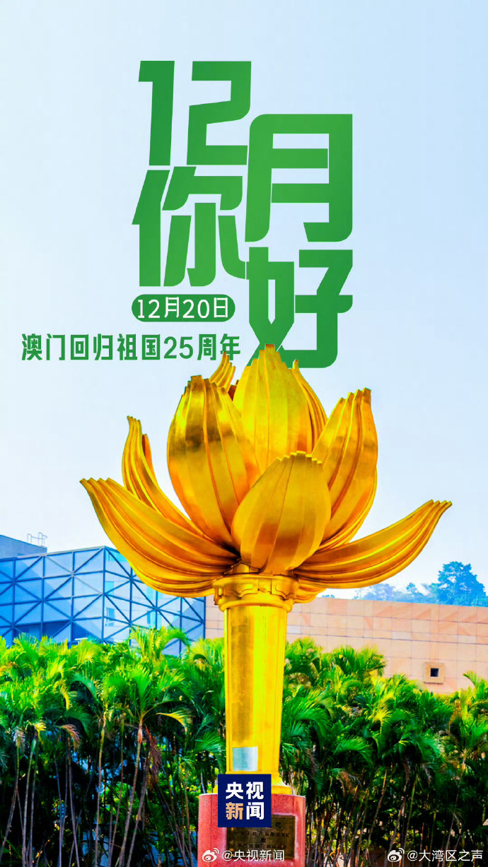 新澳門2025天天開好，未來繁榮的十大展望，澳門未來展望，繁榮發(fā)展的十大趨勢至2025年天天向好發(fā)展