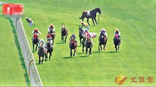 香港資料大全正版資料2025年免費四柱，馬報熱門資訊概覽，香港資料正版資訊概覽，四柱預測與馬報熱門資訊免費解讀