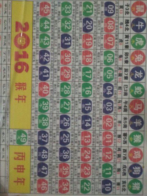揭秘2024十二生肖49碼表圖，揭秘十二生肖49碼表圖，2024年全新解讀