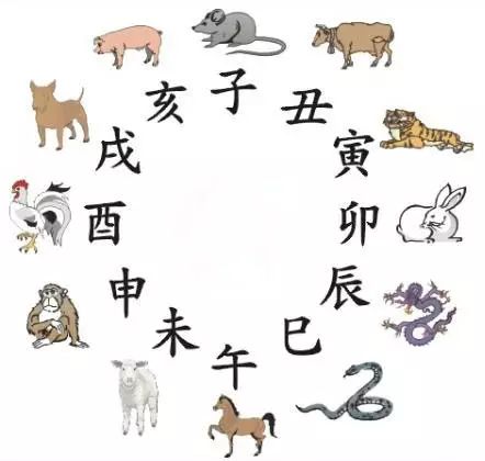 澳門天天彩期期精準(zhǔn)十二生肖，揭秘彩票背后的秘密，揭秘彩票背后的秘密，澳門天天彩期期精準(zhǔn)的十二生肖預(yù)測(cè)