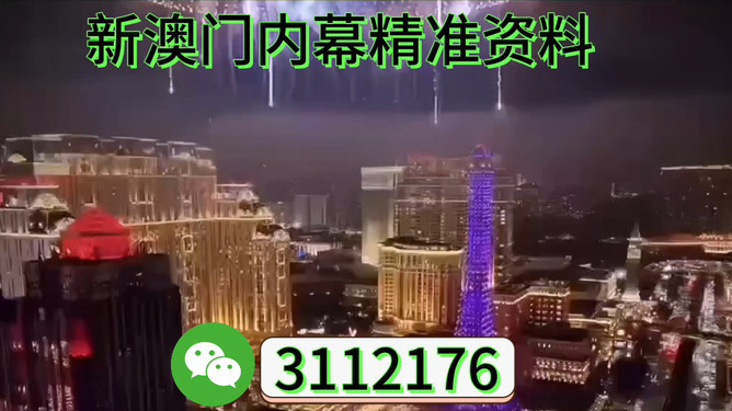 2025年澳門特馬今晚號碼，澳門特馬今晚號碼預(yù)測（2025年）