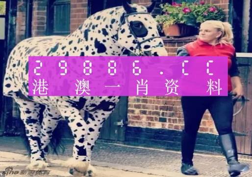 澳門王中王一肖一特一中大揭秘，澳門王中王，一肖一特一中神秘揭秘