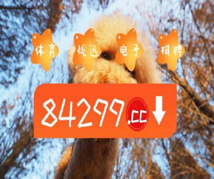 新澳門天天彩免費提供，澳門天天彩最新免費資訊分享