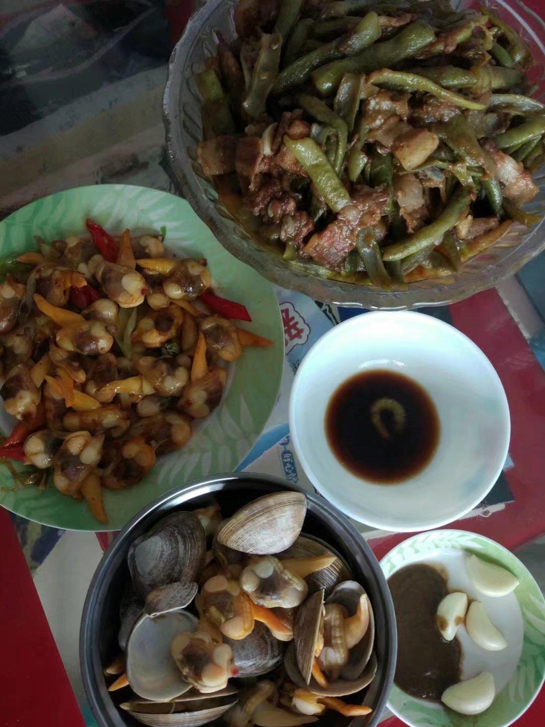 探索6合之家資料大全免費(fèi)，一站式獲取海量資源的寶藏之地，6合之家資料大全免費(fèi)探索，一站式獲取海量資源的寶藏平臺(tái)