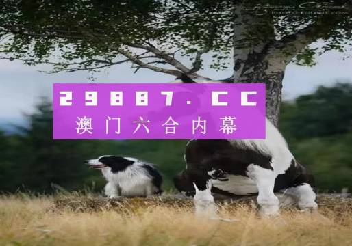 探索未來之門，2025今晚澳門跑狗圖揭秘，探索未來之門，揭秘澳門跑狗圖預(yù)測未來趨勢